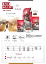 BEWICAT – ADULT , POULTRY – غذای سوپر پرمیوم گربه بالغ بوی کت با طعم مرغ (5 کیلوگرم) - تصویر 3