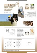BEWIDOG – LAMB & RICE– غذای سوپر پرمیوم سگ بداشتها مناسب همه نژادها بوی داگ، گوشت بره و برنج -امگا3 (12/5 کیلوگرم) - تصویر 2