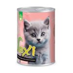 VEXI – کنسرو 400 گرمی کیتن با طعم مرغ و شیر خشک