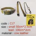 قلاده گردنی چرم طبیعی + دسته (سایز کوچک) - کد C17